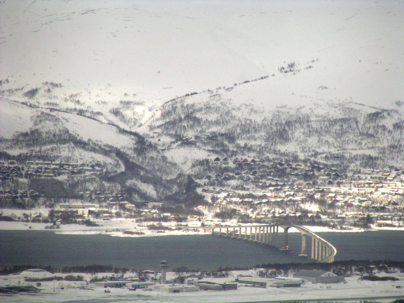 Skjervøy & Tromsø (Winter Orcas)